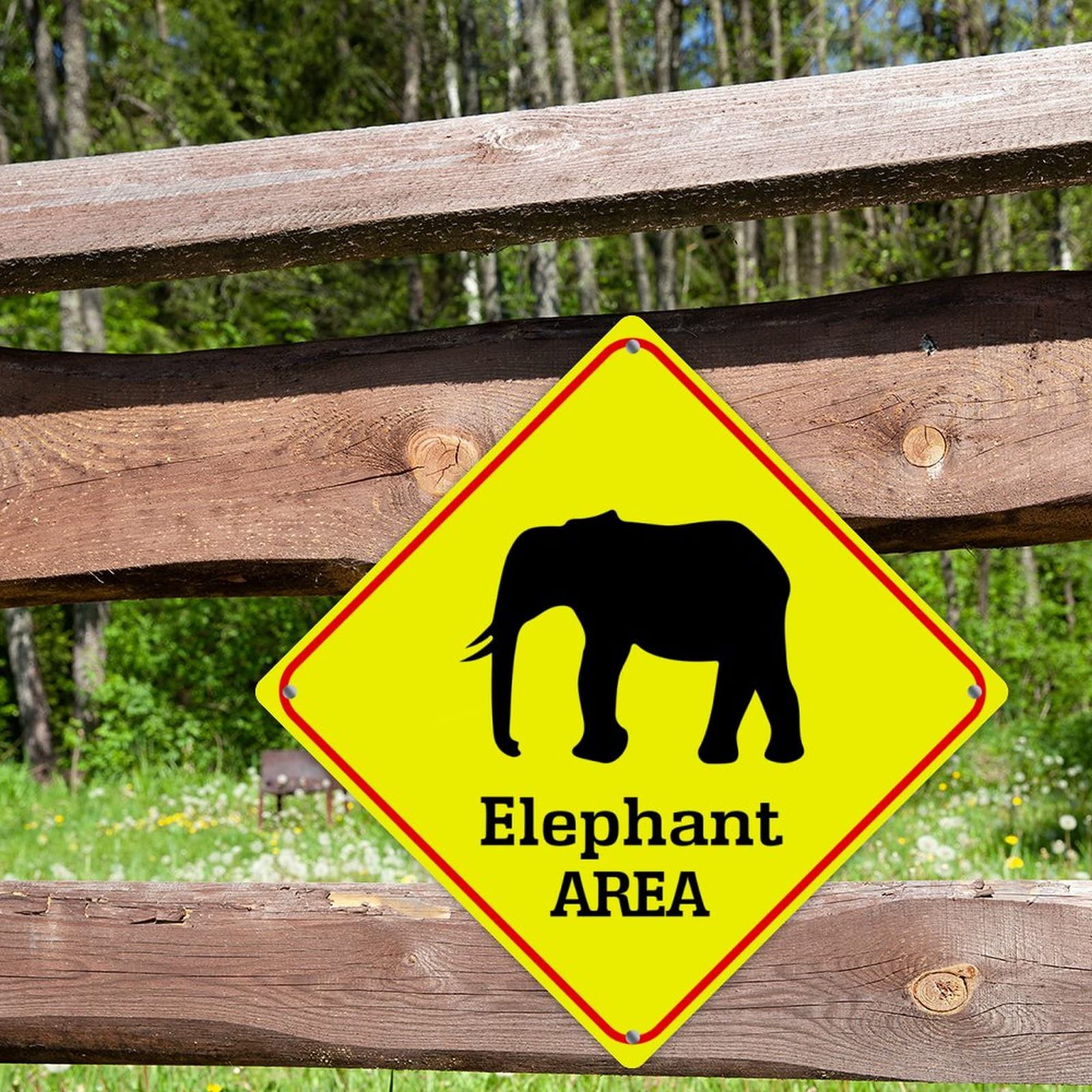 タケノコ3　　Rancid ELEPHANT 注意:受け渡しのみ Amazon.com : LITTLEGROVE SEEDS Caution Elephant Crossing XING Tin